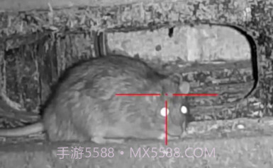 老鼠狙击手v0.6.16截图