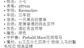 巫师人设生成器v1.18截图