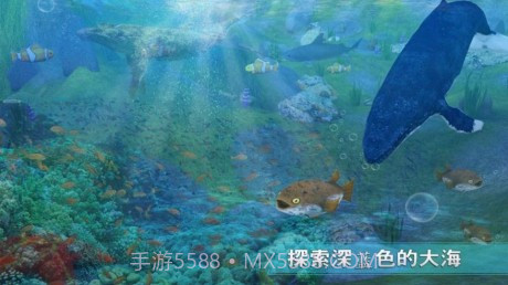 全民养鲸鱼v1.14截图