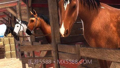 边境马术师v1.22截图