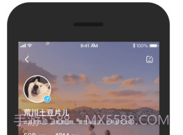 POMEv0.2.14截图