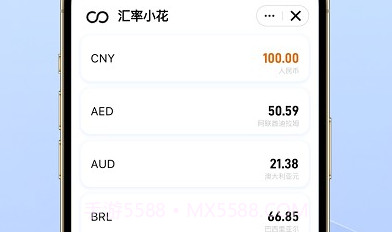 汇小花汇率v1.0.19截图