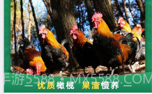 谷农生态v1.0.21截图