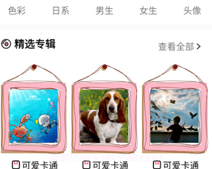 玉桂狗壁纸v1.21截图