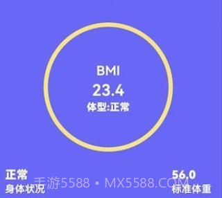 小小整理袋计算器v1.0.19截图
