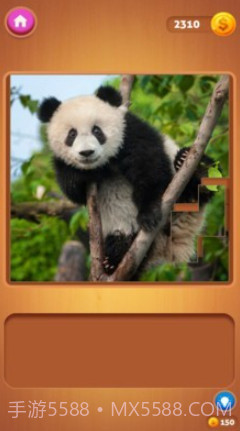 有趣拼图v2.1.23截图