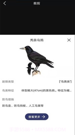 图音识鸟2.0.20截图