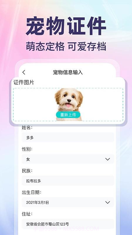 网络电子证件管家官网版v1.0.1截图