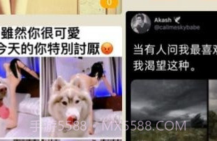 小小品v1.0.23截图