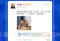 陌陌在线交友V9.9.21截图