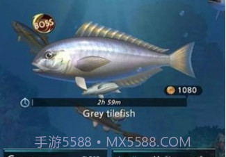 钓鱼胡克中文v1.22截图