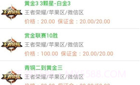 代练宝(冲分平台)V5.5.20截图