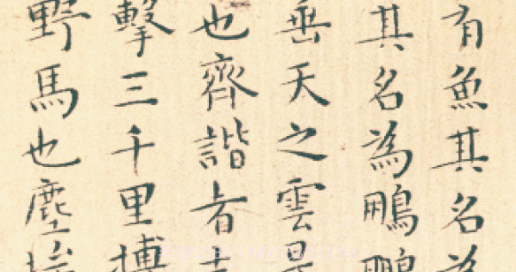 轩墨书法v1.0.25截图