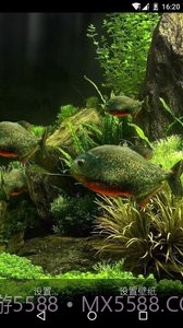 3D食人鱼：梦象动态壁纸截图2