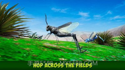 印度蝗虫模拟器汉化版截图3