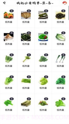 瘦瘦快减肥截图2