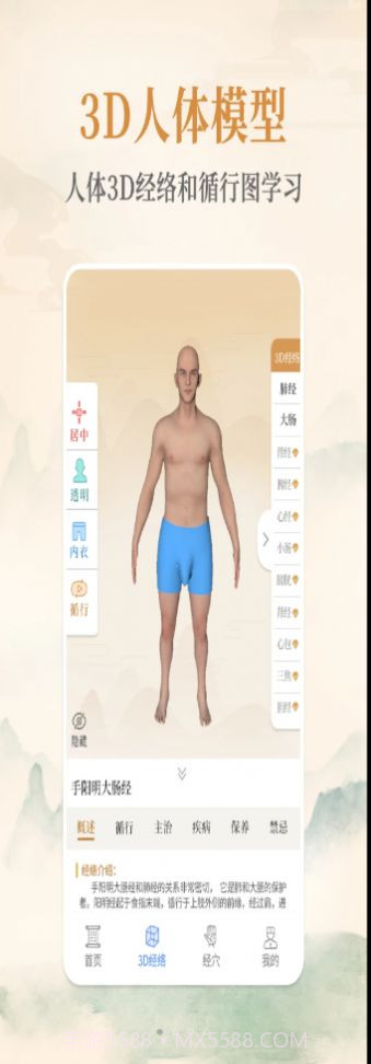 经络穴位艾灸大夫截图2