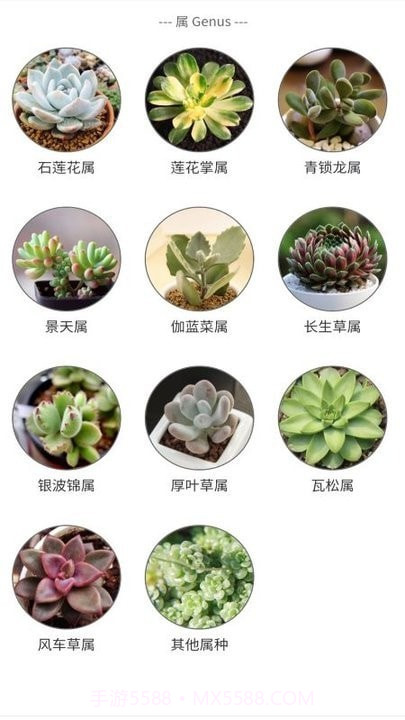 植物君截图3 植物君截图3