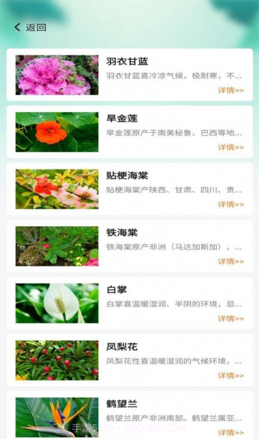 百草万象园截图4