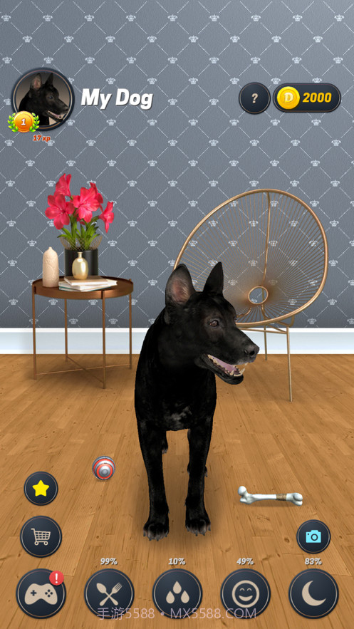 我的狗截图3 我的狗截图3