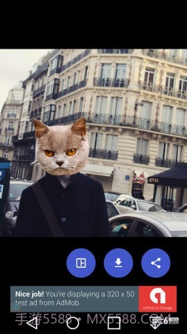 猫头贴纸截图3 猫头贴纸截图3