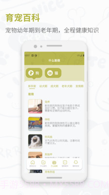 猫狗实时翻译器截图1