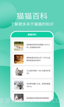 猫猫交流工具截图4 猫猫交流工具截图4