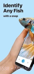 Picture Fish鱼类识别截图1
