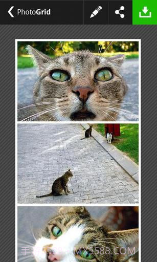 相片组合PhotoGrid截图6