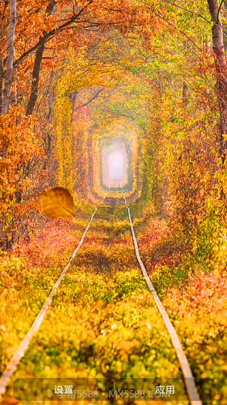 爱动态壁纸截图3