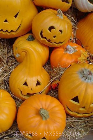 万圣节壁纸2022截图2