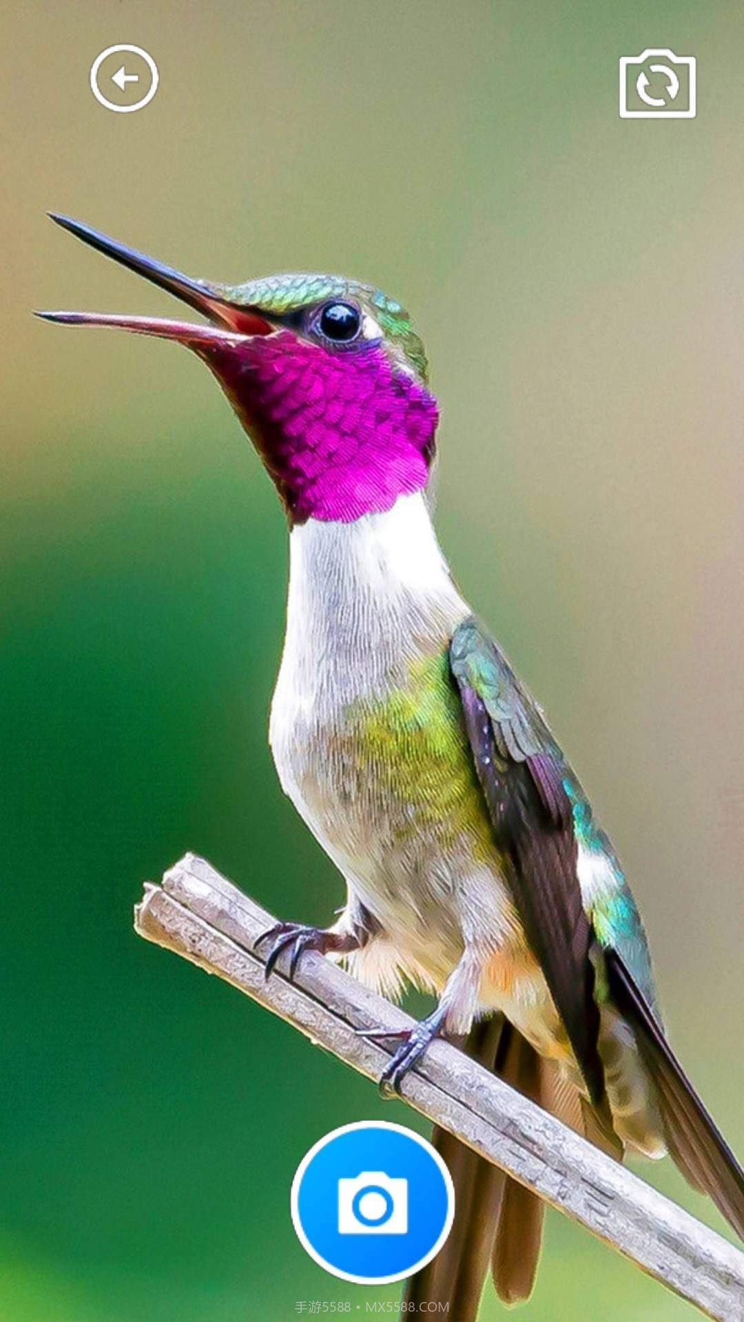 龙凤工具箱截图3