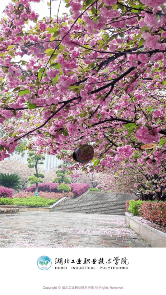 湖工职院截图4