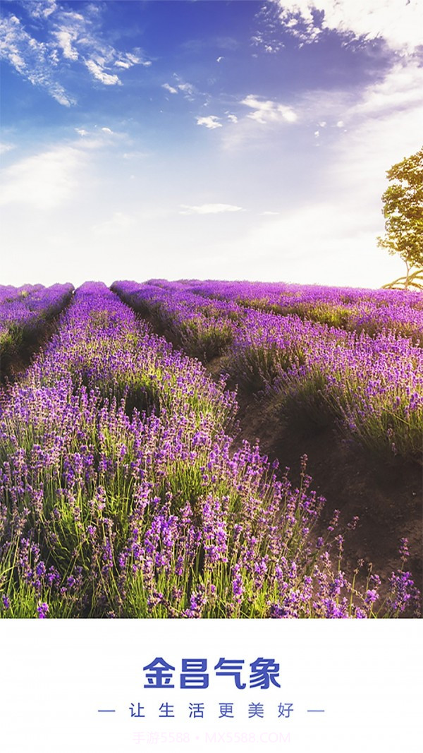 金昌天气预报截图1