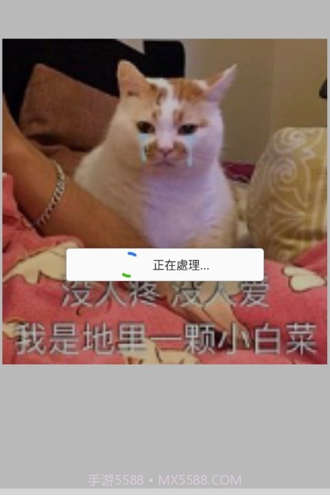 GIF编辑器Pro截图2