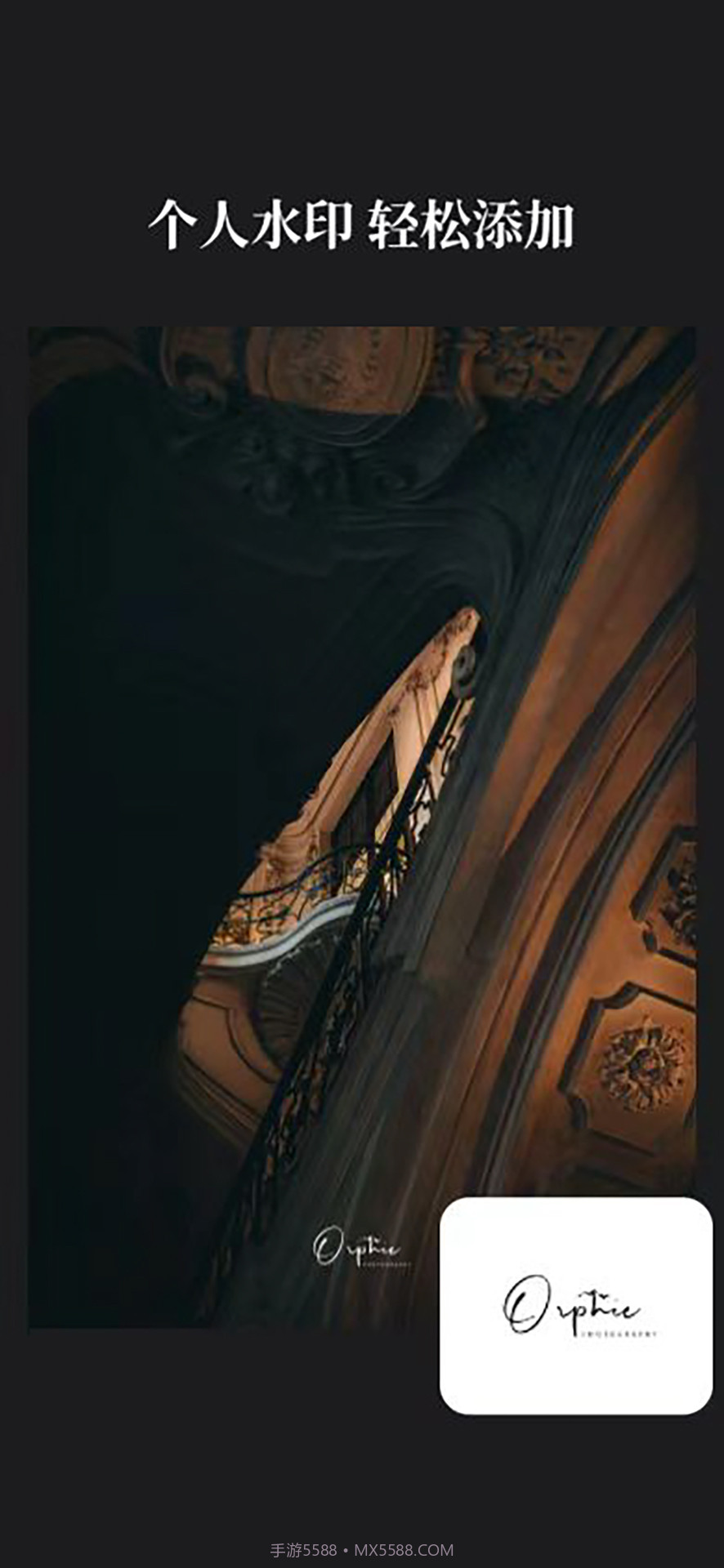 徕卡水印大师截图4