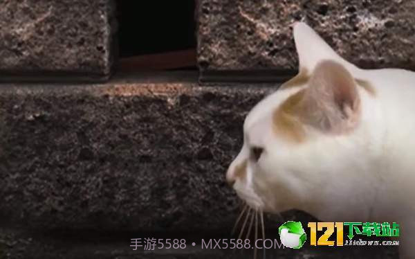 猫头怪谈截图2 猫头怪谈截图2