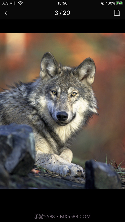 简约壁纸截图3 简约壁纸截图3