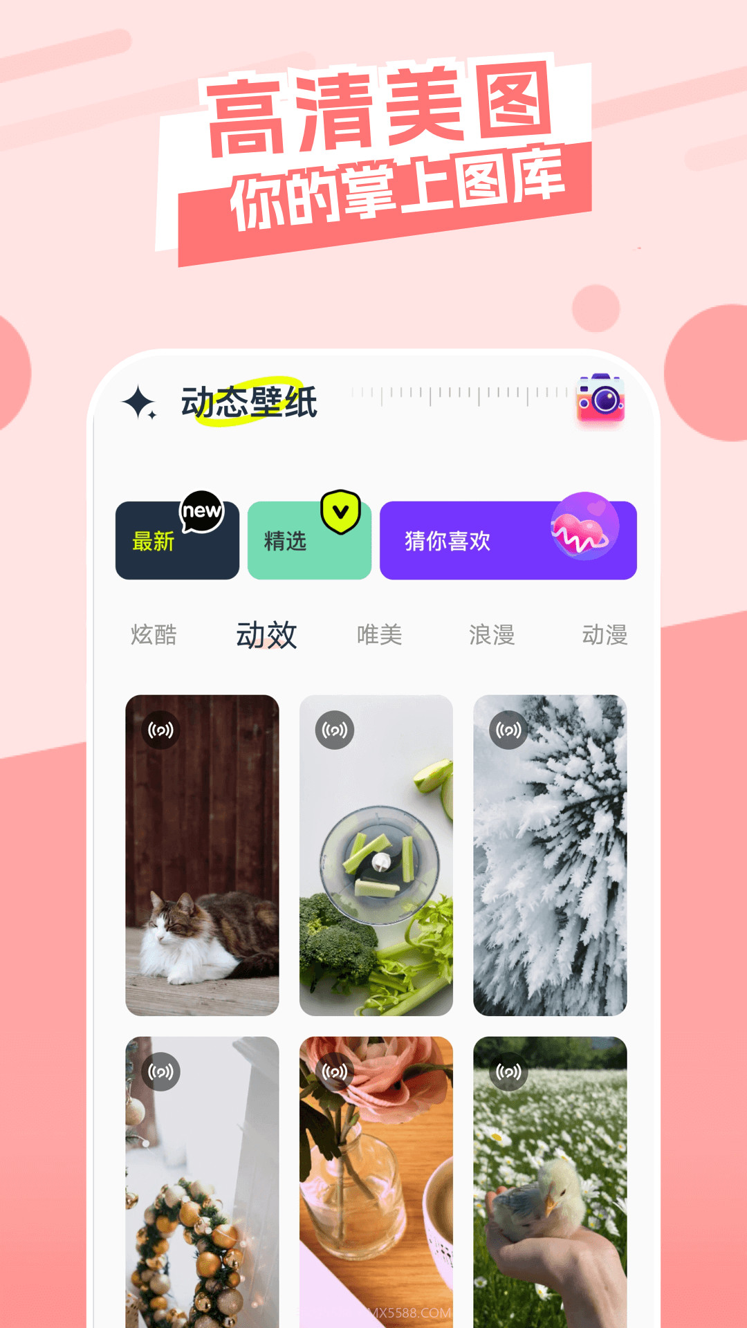 主题库顺来截图2 主题库顺来截图2