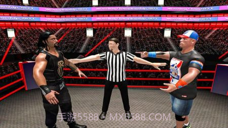 摔跤战斗巨变3D截图4