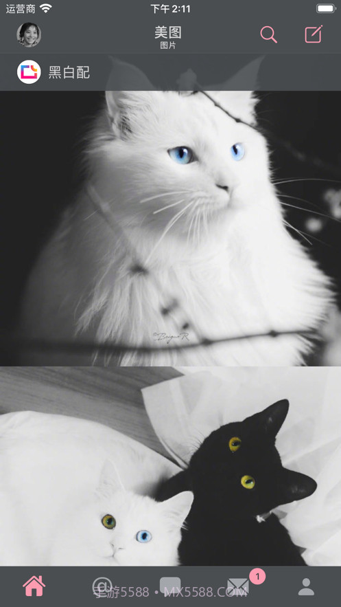 墨客截图1 墨客截图1