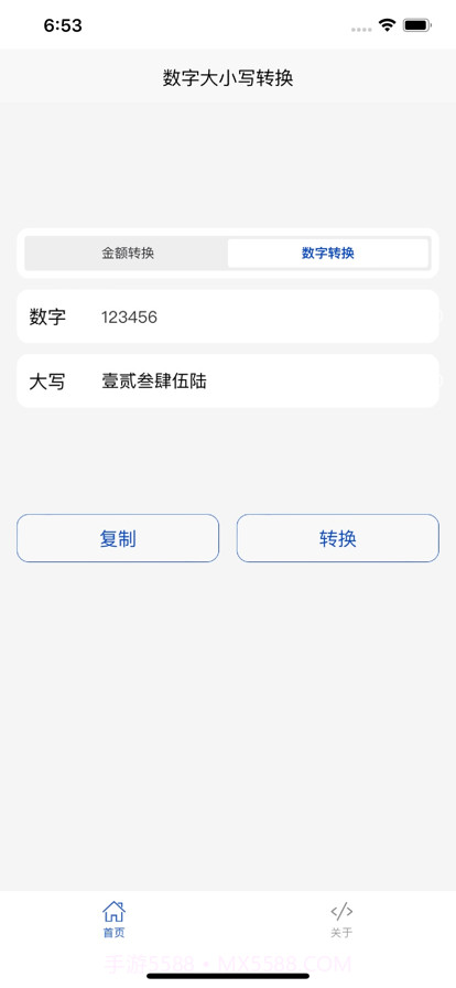 金额大小写截图2