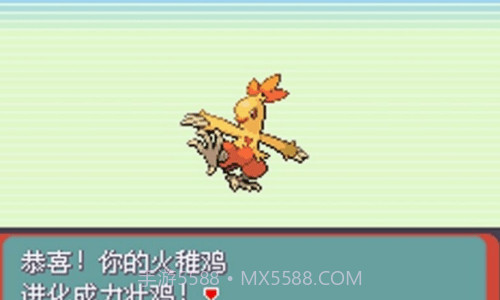 口袋妖怪绿宝石rom截图2