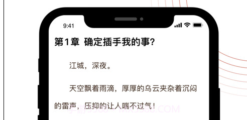 全本小说大全截图3