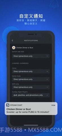 steam chat免费版截图1