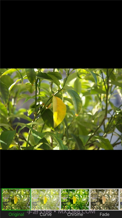 叮当视频图片编辑截图3 叮当视频图片编辑截图3