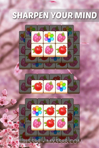 植物们配对截图3