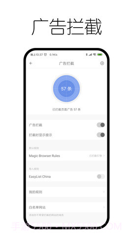 神奇浏览器截图3