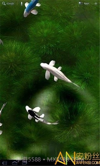 自由锦鲤动态壁纸截图1