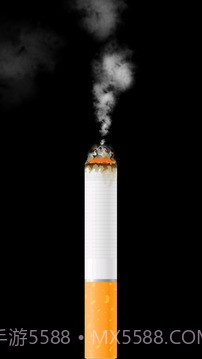 卷烟模拟器截图2